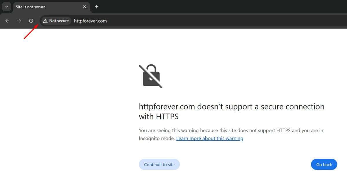 http not secure example