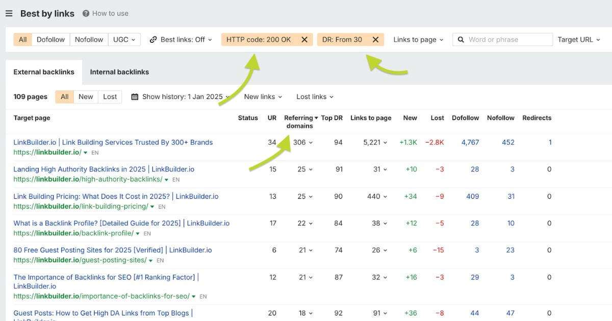 Ahrefs 200 OK DR30 example