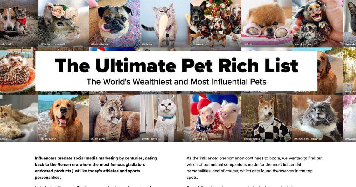 Digital PR example Cats.com